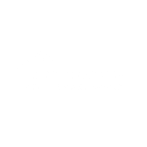 logo nacimiento